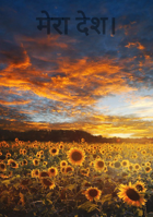 मेरा देश
