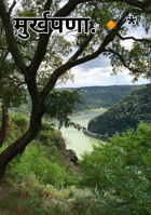 मुर्खपणा