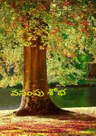 వసంతపు శోభ