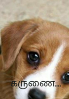 கருணை