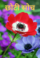 छोटी सोच