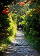 ഗുൽമോഹർ...