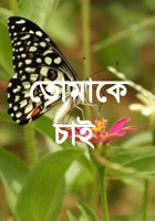 তোমাকে চাই