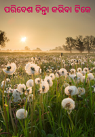 ପରିବେଶ ଚିନ୍ତା କରିବା ଟିକେ