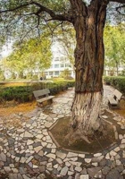 ಆ ಕಲ್ಬೆಂಚು