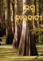 ଭଗ୍ନ ବାରବାଟୀ