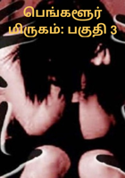 பெங்களூர் மிருகம்: பகுதி 3