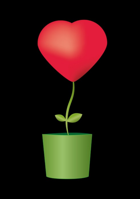 మళ్ళీ ప్రేమలో పడ్డాను