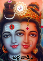 అర్ధ నారీ...