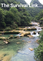 The Survival Link...