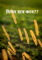 মিলন হবে কবে??