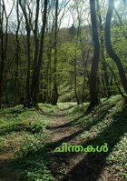 ചിന്തകൾ