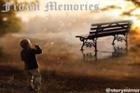 Frozen Memories
