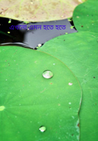 এখনো এমন হতে হতে