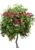 କହିଲେ ନ ସରେ ଗୁଣ