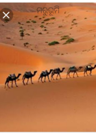 ମରୁଭୂମି