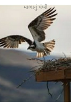 માળાનું પંખી