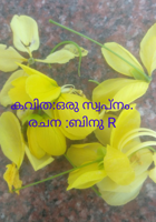 കവിത:ഒരു സ്വപ്നം.രചന :ബിനു R