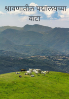  श्रावणातील पद्मालयच्या वाटा

