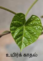 உயிர்க் காதல்