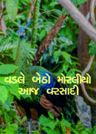વડલે બેઠો મોરલીયો આજ વરસાદી