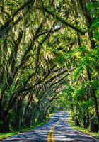 ଗରୀବ କିଏ