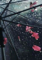 ഓർമ്മകളുടെ സംഗീതം...