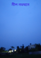 নীল নভঘনে