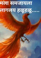मला समजायला लागलय हळूहळू.....