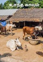 உசந்த காலம்