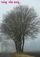 આંસુ એક સર્યું