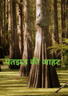 पतझड़ की आहट