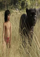 ଟୁଆଁ ଟୁଇଁ କାହାଣୀ