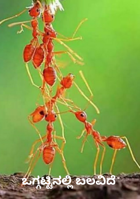 ಒಗ್ಗಟ್ಟಿನಲ್ಲಿ ಬಲವಿದೆ