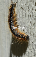 The Gypsy