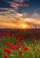 ಹೊಂಗಿರಣ