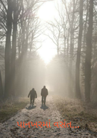 પાનખરમાં વસંત