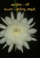 കവിത :- നീരചന :- ബിനു. ആർ.