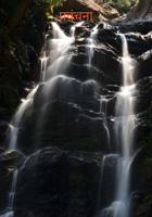 प्रवंचना