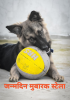 जन्मदिन मुबारक स्टेला