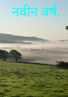 नवीन वर्ष.