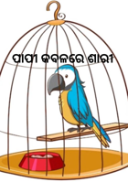 ପାପୀ କବଳରେ ଶାରୀ