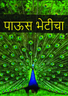 पाऊस भेटीचा