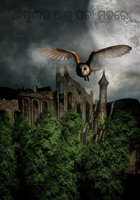 ଶାଗୁଣାର ଆଖି ପଚା ମଢ଼ରେ