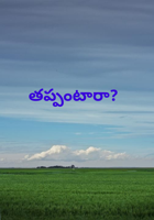తప్పంటారా?
