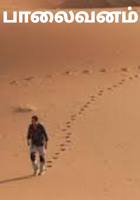 பாலைவனம்