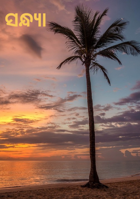 ସନ୍ଧ୍ୟା