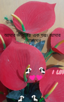 আমার জীবনের  এক গল্প। আমার বাসরঘর