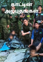 காட்டின் அற்புதங்கள்