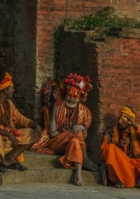 मानवीय संवेदनाओं का महोत्सव